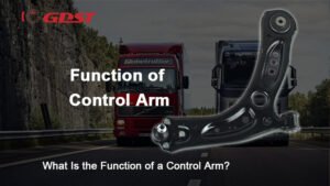Function of Control Arm